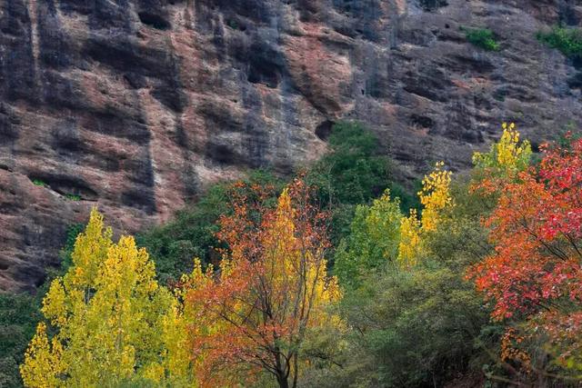 成县晚秋，是藏在秦岭南麓的色彩诗行
