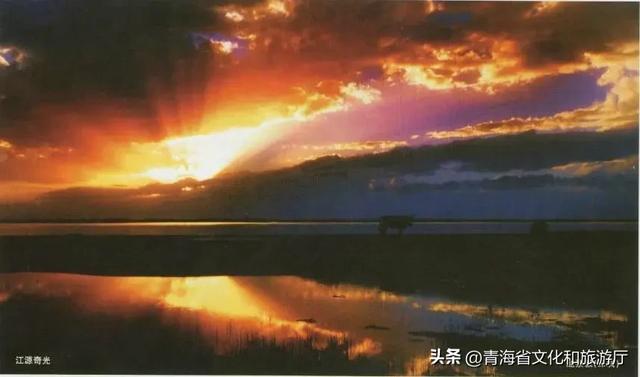 黄叶、秋风与斜阳，玉树的秋藏着你要的绚烂与深沉