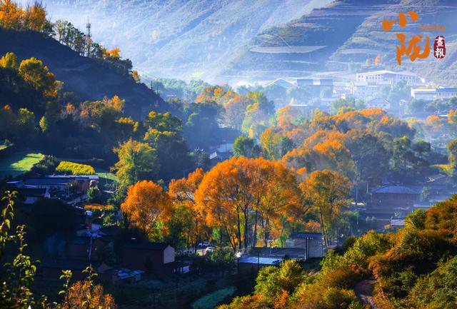 【小陇画报·432期】初冬时节 临潭最后一波秋色惊艳诱人