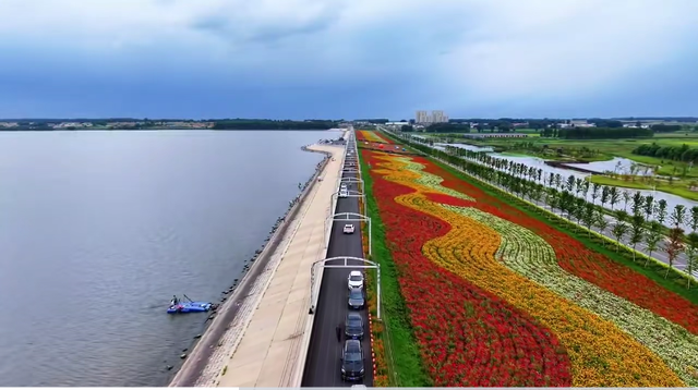 超出片！长春周边“上线”10 万㎡花海~