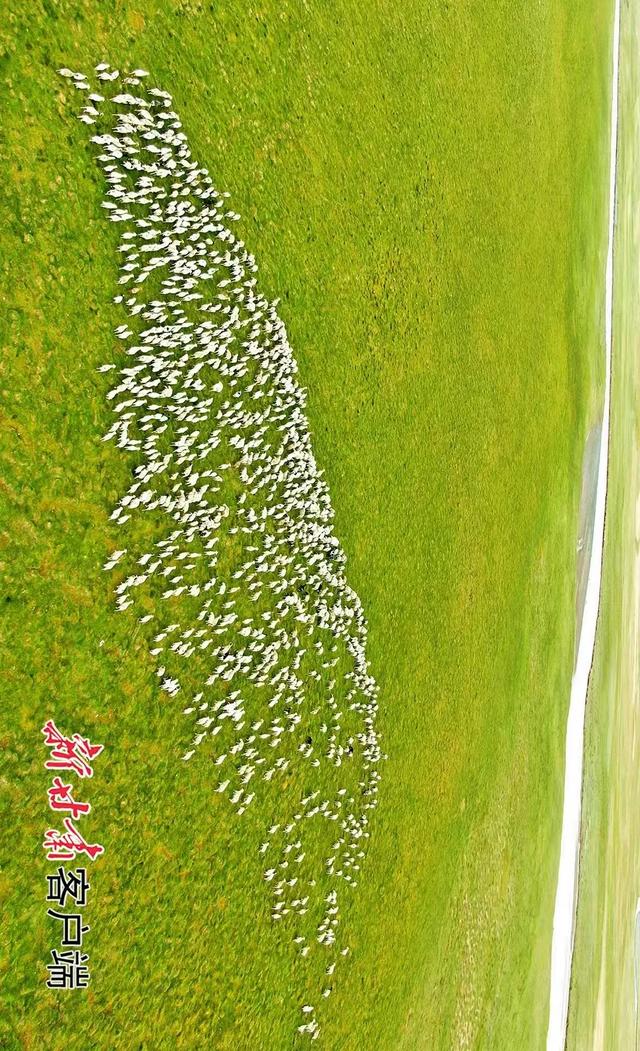 “哪儿凉快到哪儿待着去”，这句话真不是骂人
