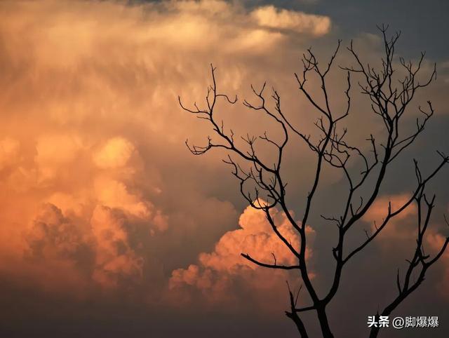 芦花似雪秋意浓！来吴阳，赴一场浪漫的芦荻之约
