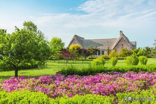 两性关系；不管你信不信，女人过54岁，都有如下7个症状，要接受