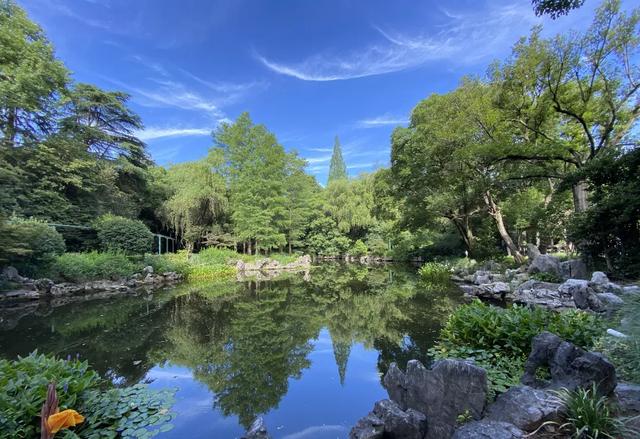 上海解锁“千园之城”,遛娃拍照吸氧圣地,哪个是你最爱?