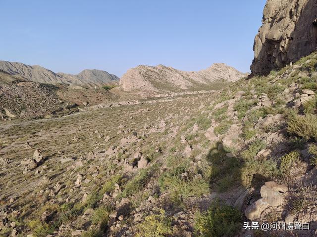 永昌县*花大门石刻