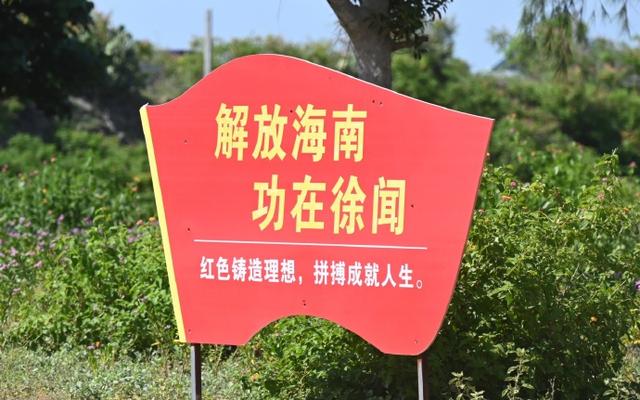 中国大陆最南县，去看大陆最南的海，不仅有海还有“菠萝的海”！