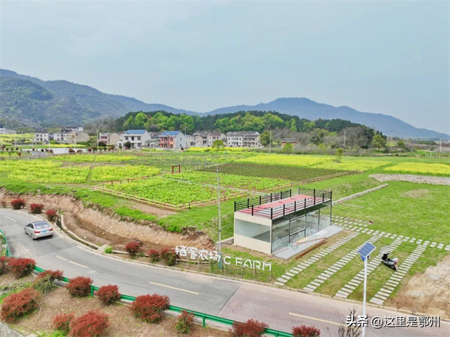 这里是鄂州最High的地方！