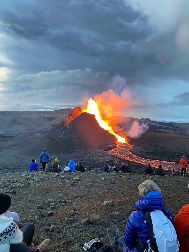 冰岛首度发现蚊子 "世界净土"沦陷了？！然而这个国家真的很美好啊