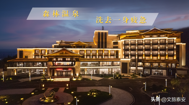 洛阳宝宝冲！四条线路解锁“一山一圣”的新玩法，朋友圈从洛阳卷到山东！