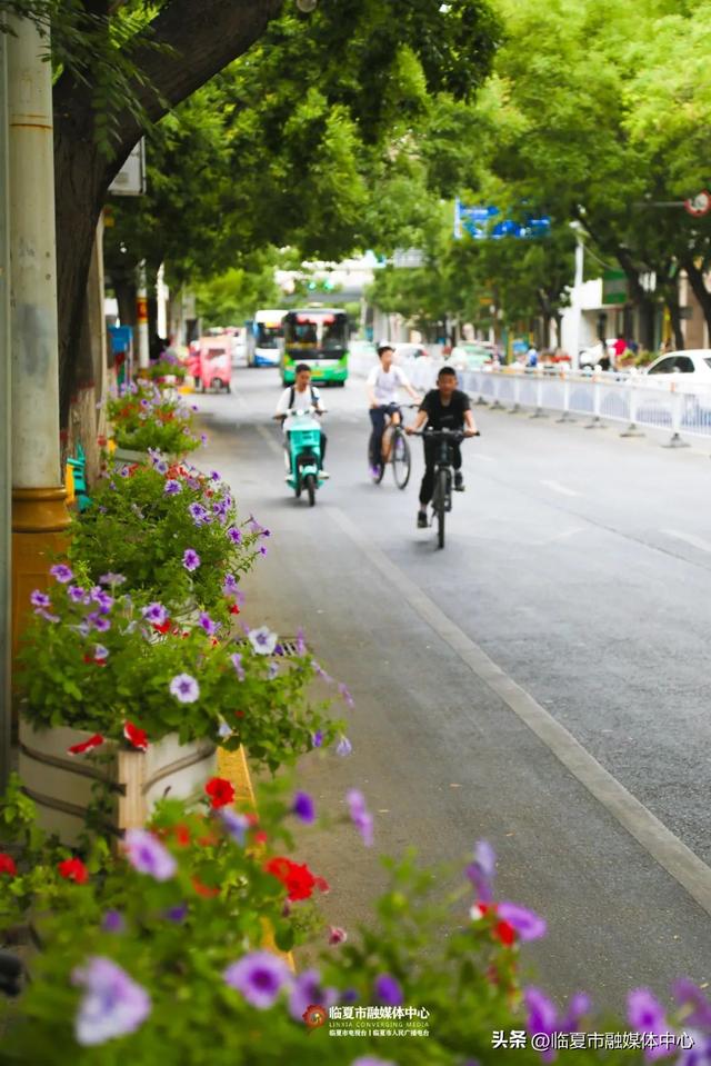临夏市：一座把“浪漫”写进马路牙子的城市