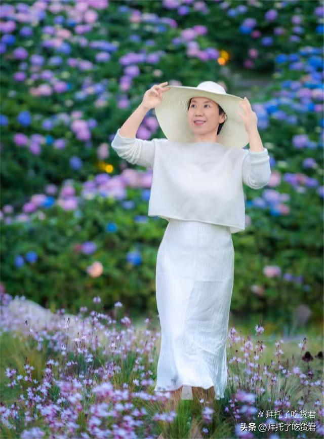 绣球花的夏天，不在南法在大理