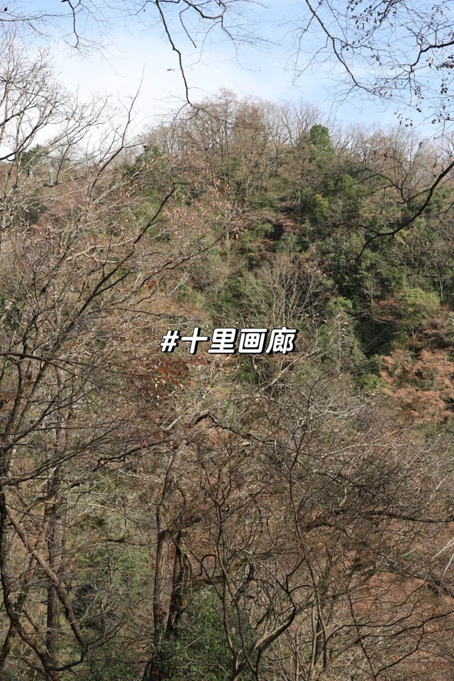 听劝！别再去光雾山米仓山人挤人，红叶没有啦！