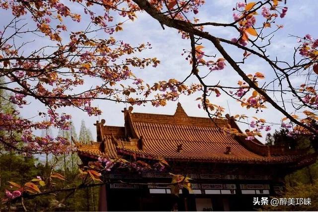 10月29日，开启乐游天台山不限量徒步活动！速来围观！