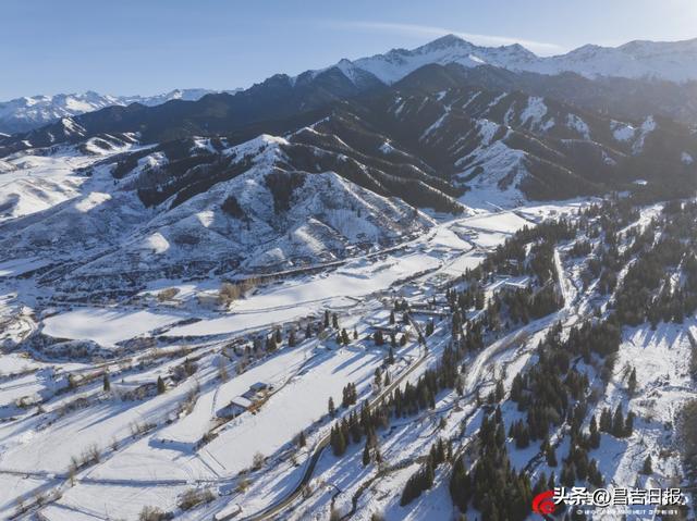 吉木萨尔渭户沟：雪落山林披银装 冬日画卷藏诗意