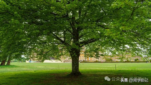 美胜皇宫——英国·丘吉尔庄园