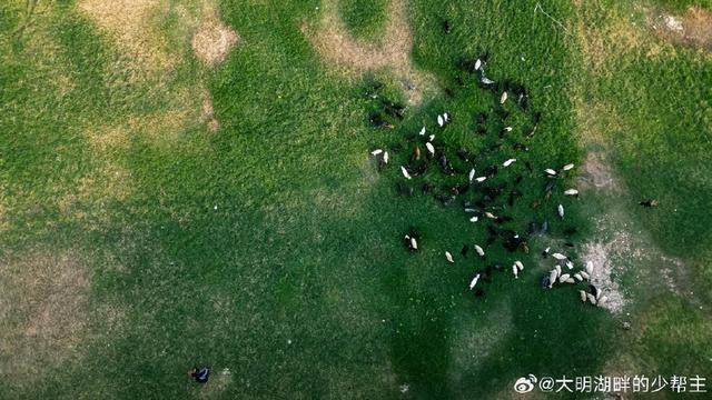 济南的秋天竟然可以这么“阿勒泰”，悄悄告诉你这处秘境！