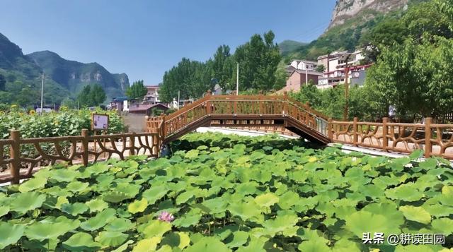 邯郸涉县藏着条宝藏乡村线！4个太行古村串起农耕、戏曲、星空…