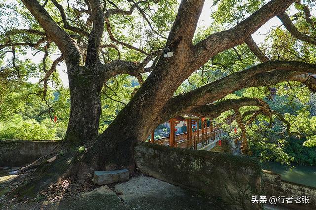 走遍福建古村落，白云深处有人家，白云山下的百年古村落“桥溪”