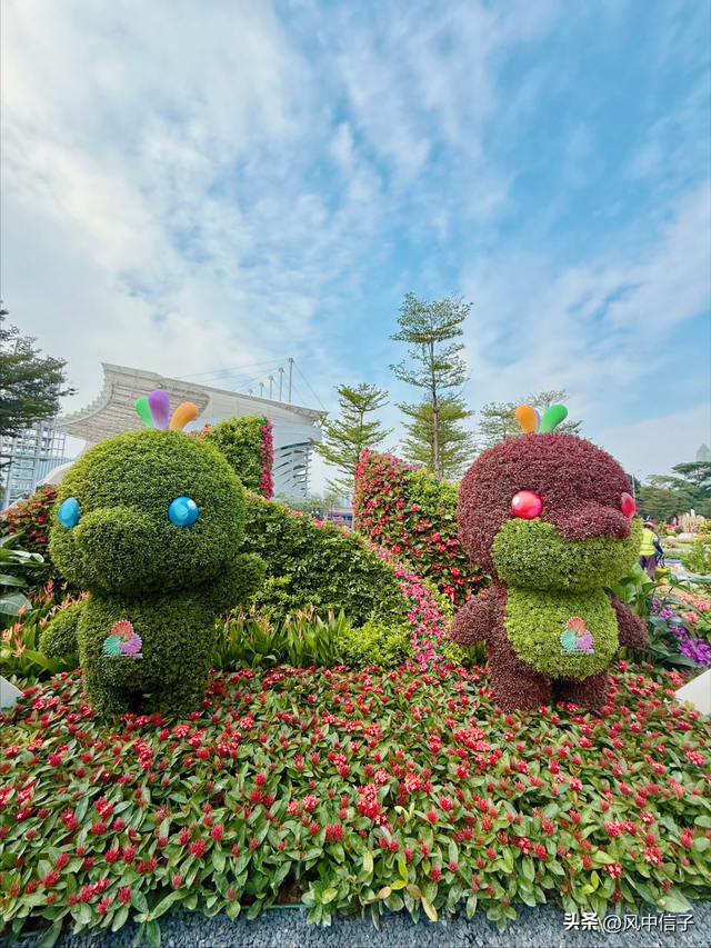 这个周末不如带娃去逛逛这里的花花