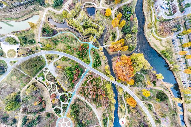 凤凰苑植物园：五彩林木绘就初冬美景
