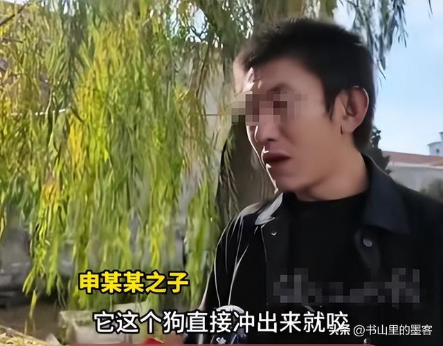 狗咬人风波升级：监控流出，谎言被揭穿，申家姐姐一个决定成关键