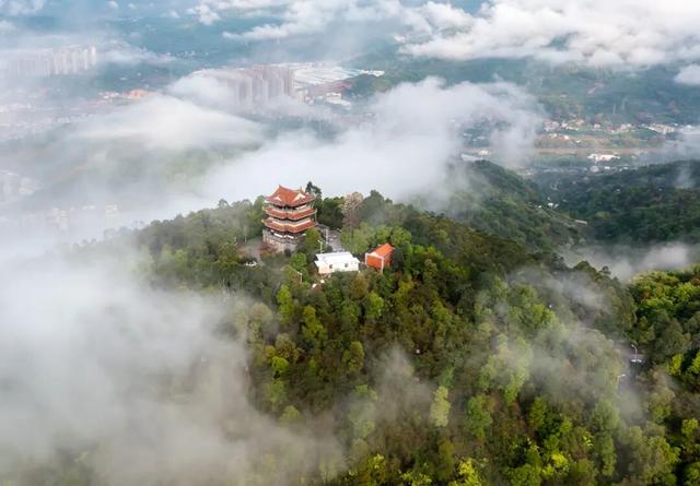 重阳登高何处去？安溪邀您赏花踏秋，解锁「茶山+云海」双景模式