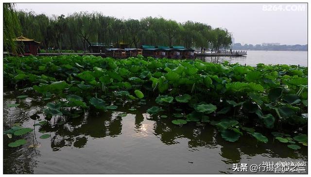 山东行游影记（12）—济南大明湖（一）
