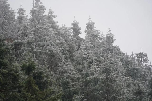 “云赏”怀集的冰雪世界