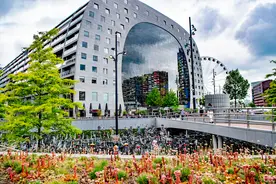 荷兰发达到什么程度了？人口仅1700万，却拥有11个世界五百强!图片