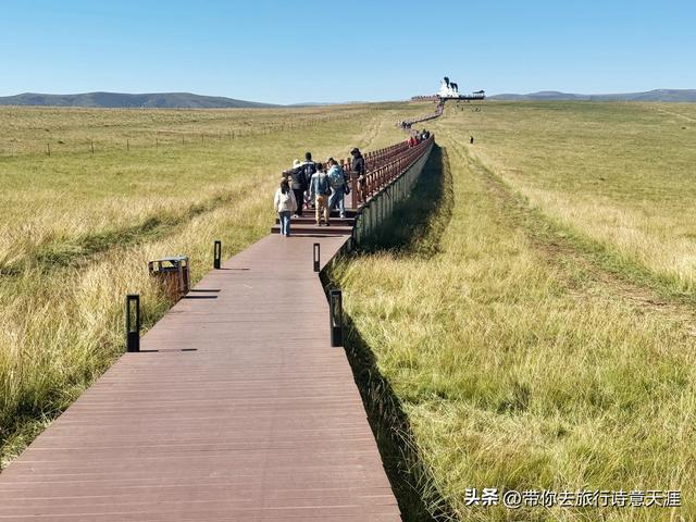 甘南郭莽湿地的野生自然风光