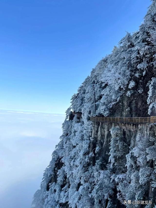 江西多地出现大片雾凇！马上又要反转！即将升温→