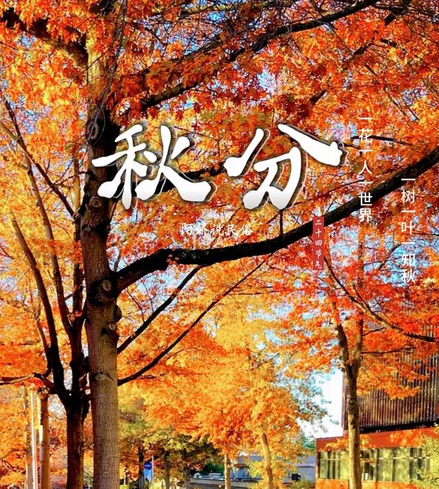 “上午秋分雪满地，下午秋分穿单衣” 今日秋分，今年秋分在几点？