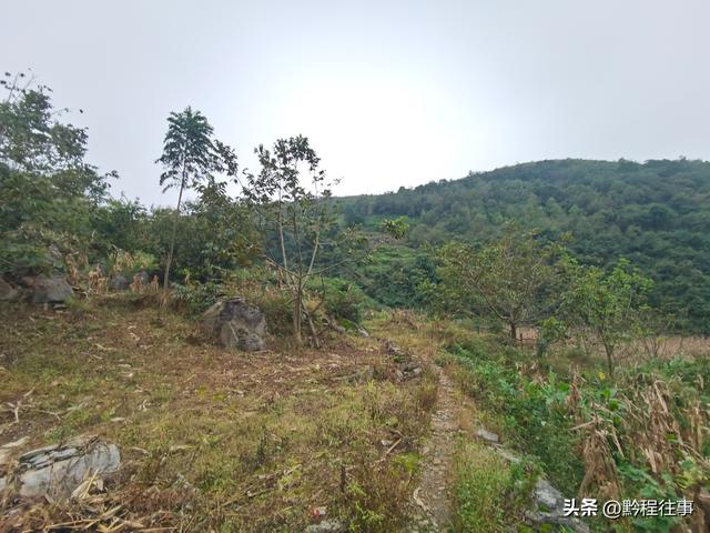 寻找一片僧人墓地，佛门高僧竟然最后落得尸骸无存