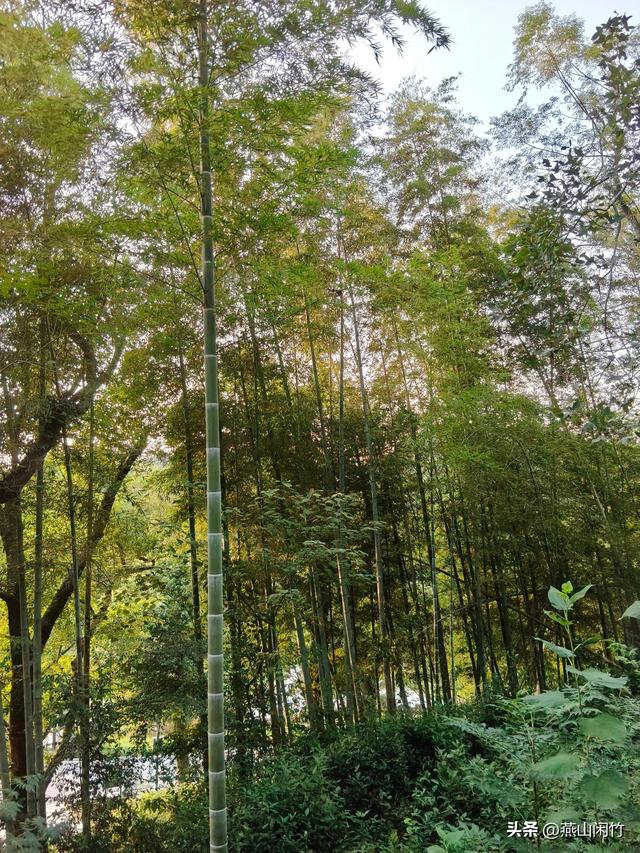 物尽其用，拓宽生命强度