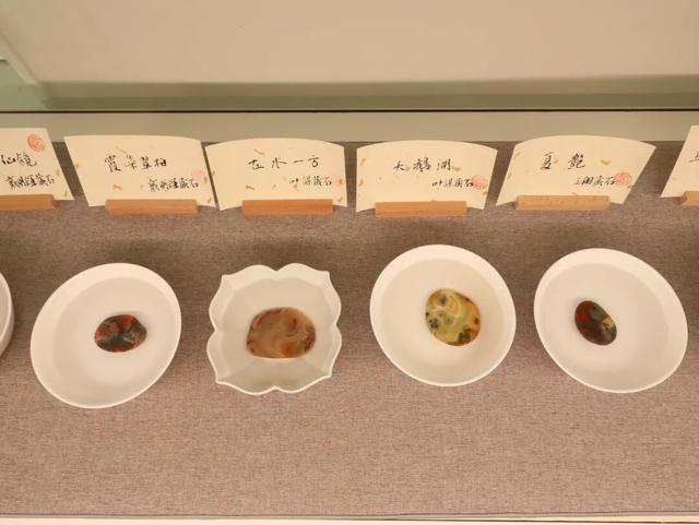 江北首家综合性博物馆来啦~