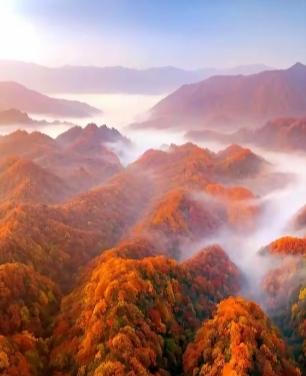 光雾山何时小众？