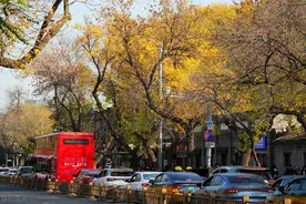 微信聊天正在消失：从“指尖社交”到“社交恐惧症”图片