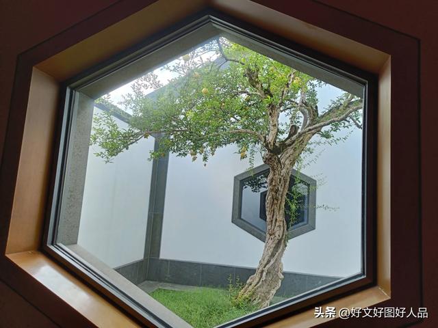 独家全网爆料——苏州最佳旅游公交线路暨探秘苏州博物馆（四）