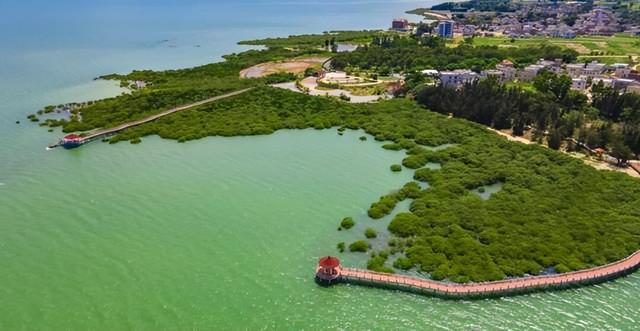 湛江金沙湾：碧海映金沙 湾美醉游人