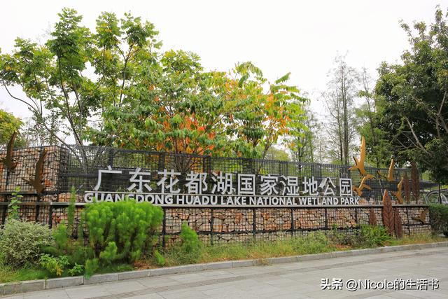 住进广州花都的城市绿洲：商务亲子两相宜