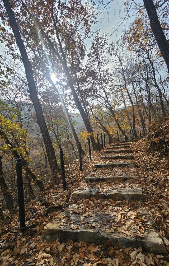 一脚踏进雪与秋的交界处，京郊深山里藏着深秋最温柔的惊喜！​
