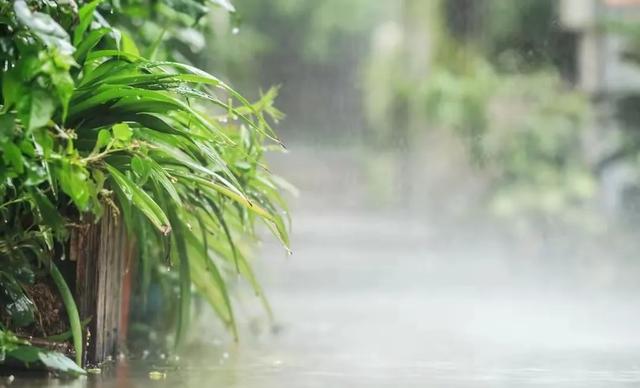 今日入伏，老人说最怕“入伏一日雨”，入伏天下雨有啥预兆？