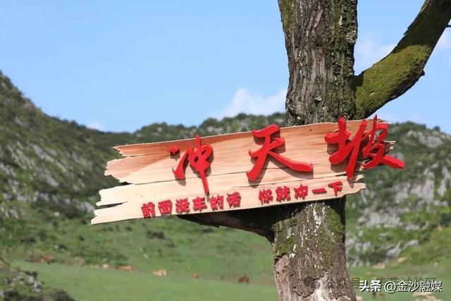 骑马、露营、看花海……这才是正确的打卡方式→