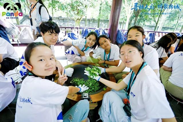 第一期Panda成都·华教研学营活动走进蒲江 沉浸式体验“千年茶乡”魅力