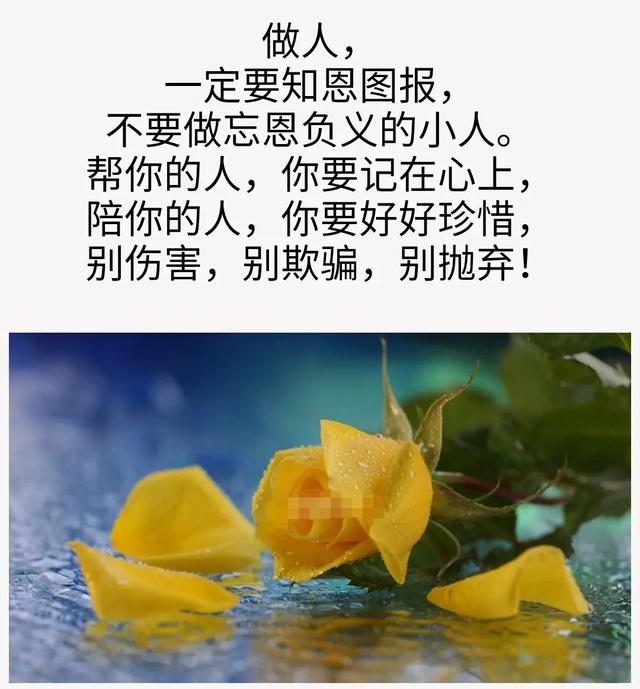 你永远别忘了，帮过你对你有恩的人