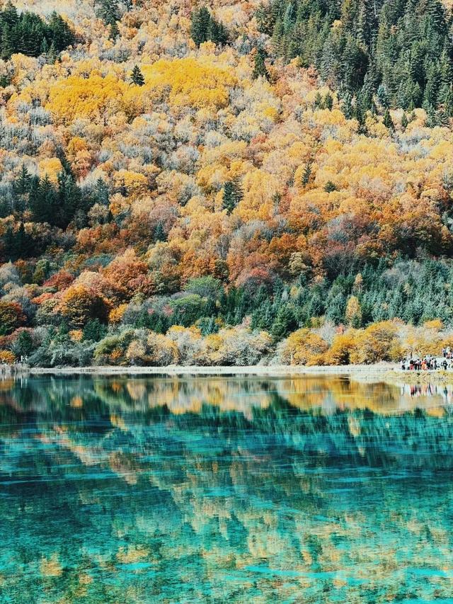 她们说九寨沟烤肠好吃我就来了！