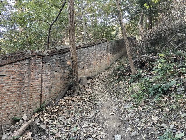 南京紫金山郊野徒步