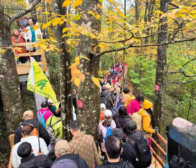 排队游览光雾山