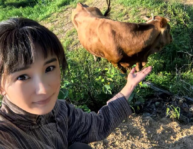 身价过百亿，坐拥北京一条街，出门私人飞机，京圈富婆都有谁?