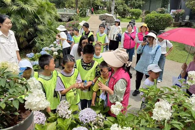 滇池度假区开展践行绿色理念主题亲子活动